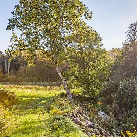 Cozy In With Kitchen