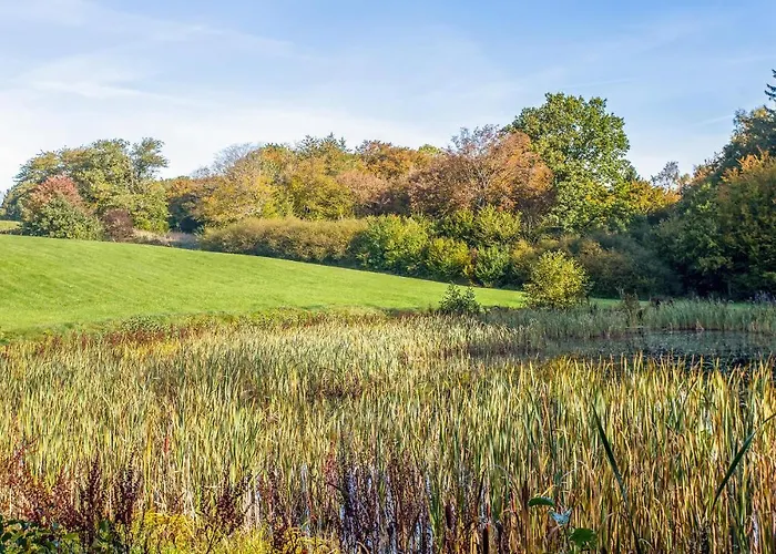 Cozy In With Kitchen *